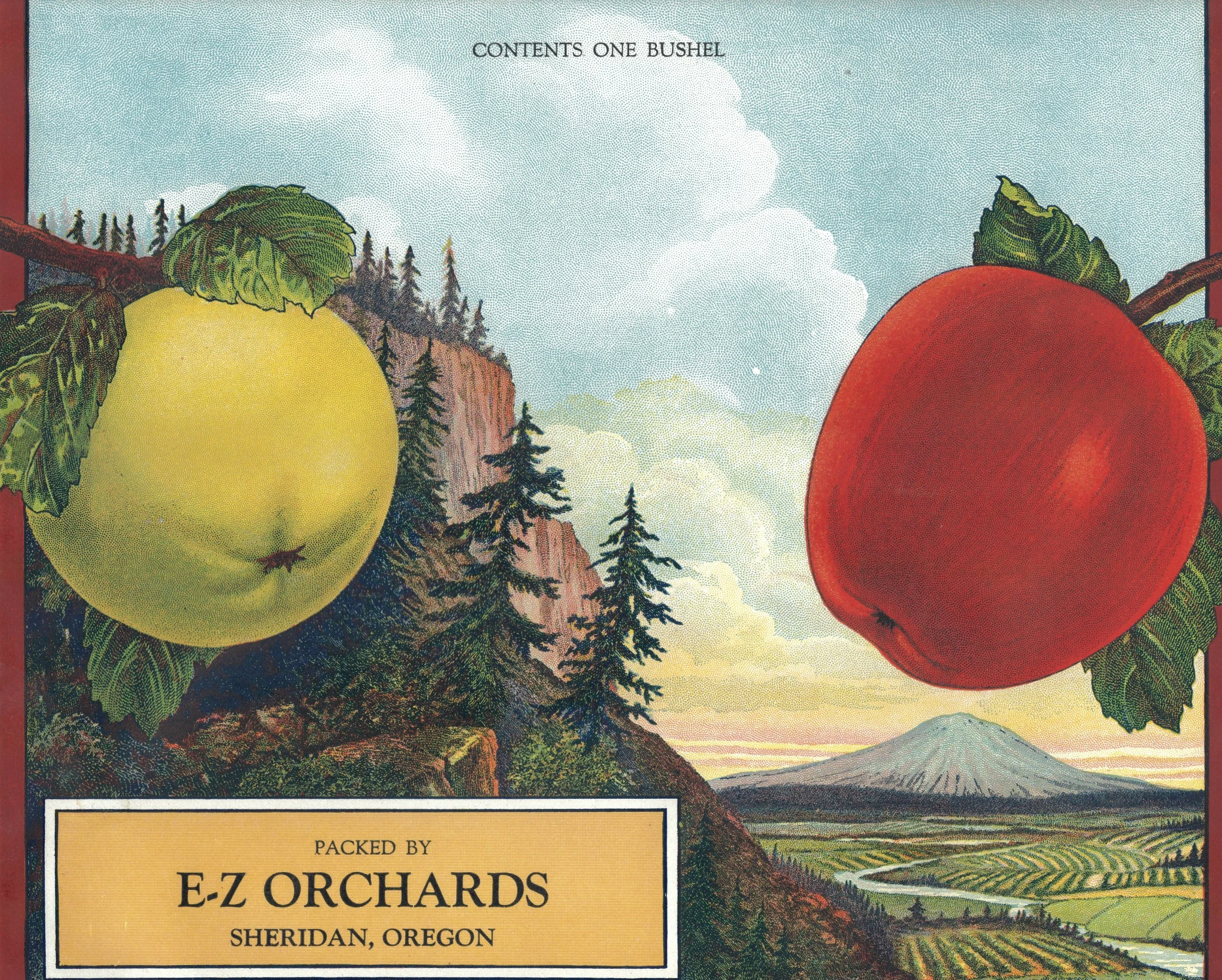 About Us — E.Z. Orchards
